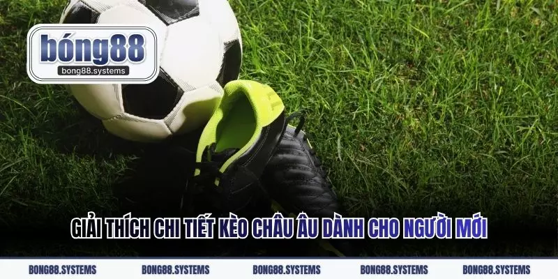 Giải thích chi tiết kèo châu Âu dành cho người mới