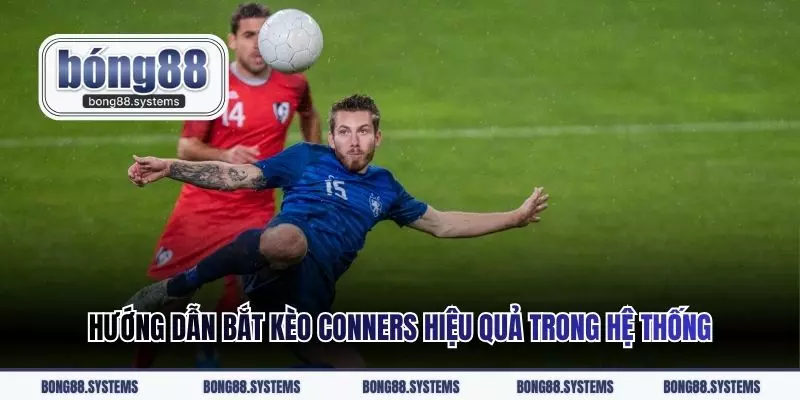 Hướng dẫn bắt kèo Conners hiệu quả trong hệ thống