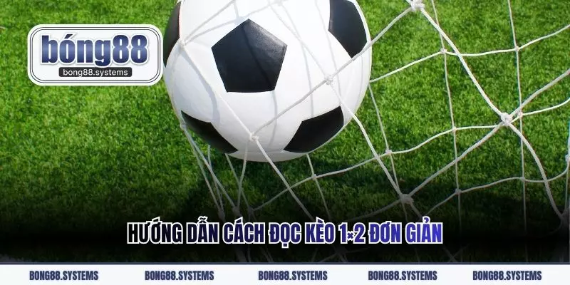 Hướng dẫn cách đọc kèo 1×2 đơn giản