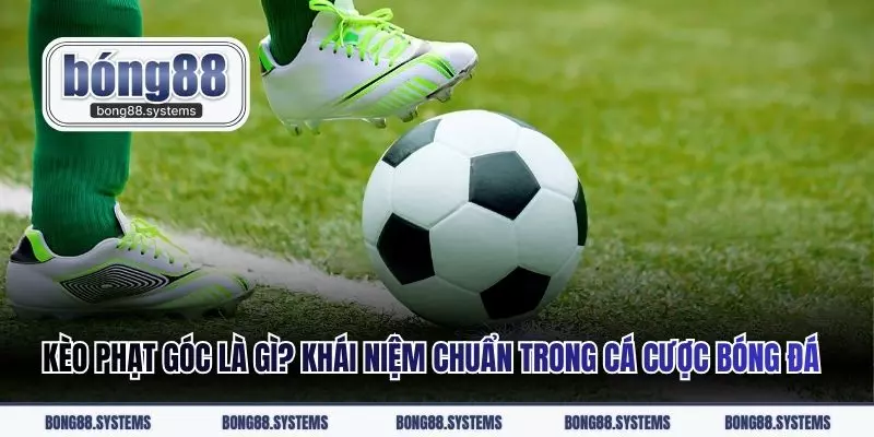 Kèo phạt góc là gì? Khái niệm chuẩn trong cá cược bóng đá