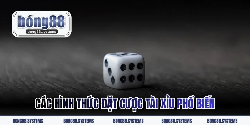 Các hình thức đặt cược tài xỉu phổ biến