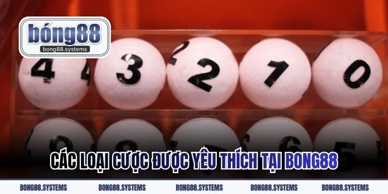Các loại cược được yêu thích tại BONG88