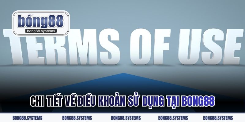 Chi tiết về điều khoản sử dụng tại BONG88