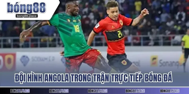 Đội hình Angola trong trận trực tiếp bóng đá