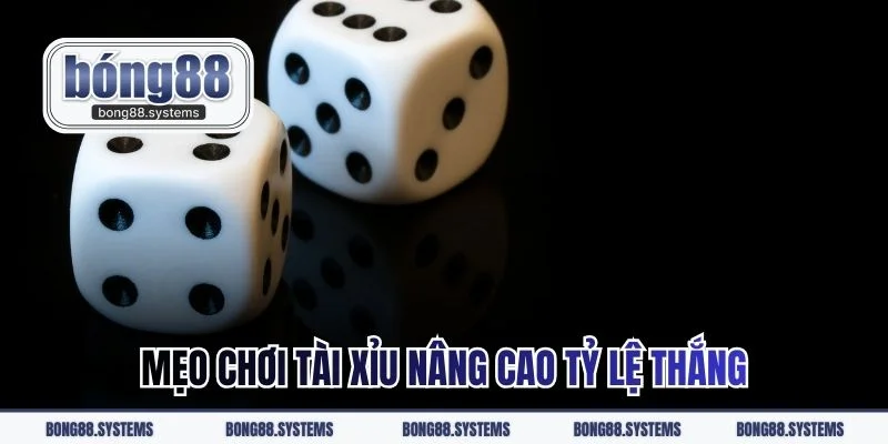 Mẹo chơi tài xỉu nâng cao tỷ lệ thắng