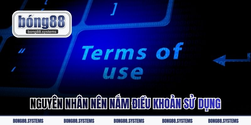 Nguyên nhân nên nắm điều khoản sử dụng
