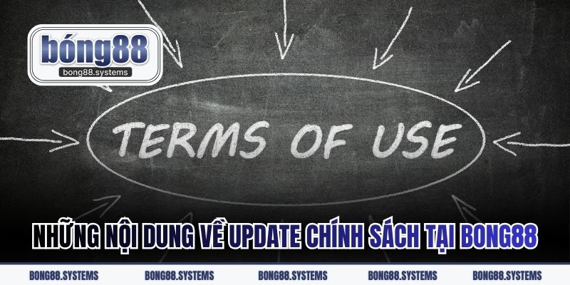 Những nội dung về update chính sách tại BONG88