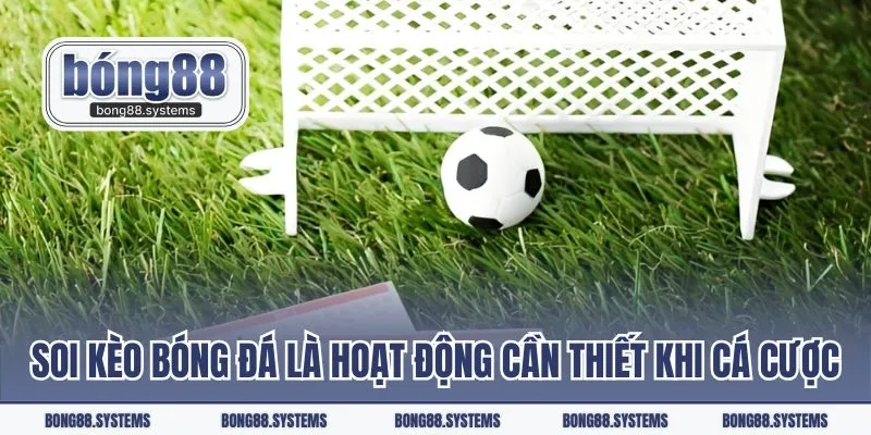 Soi kèo bóng đá là hoạt động cần thiết khi cá cược